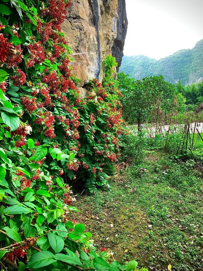 Trang An Valley Bungalow ニンビン エクステリア 写真